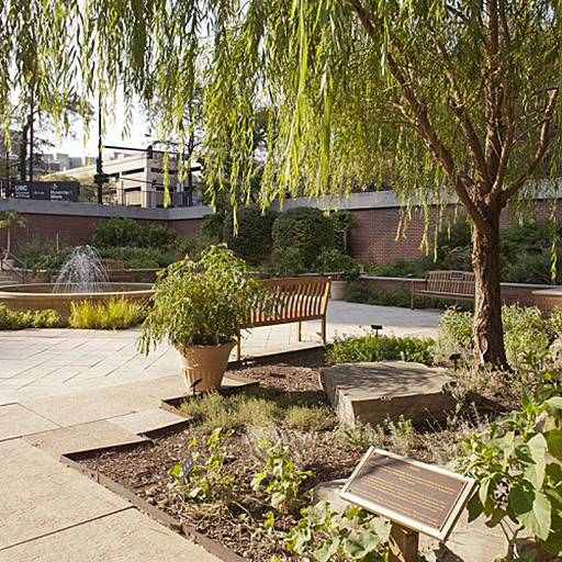 Atkins Medicinal Garden