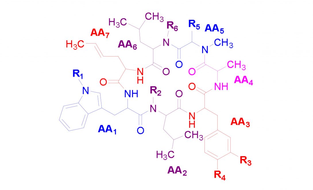 Rufomycin Generic Structure